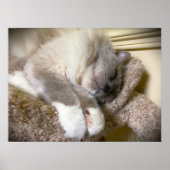 Tage, Poster (Vorne)