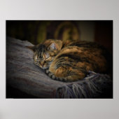 Tage, Poster (Vorne)