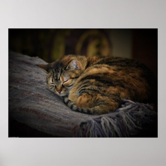 Tage, Poster (Vorne)