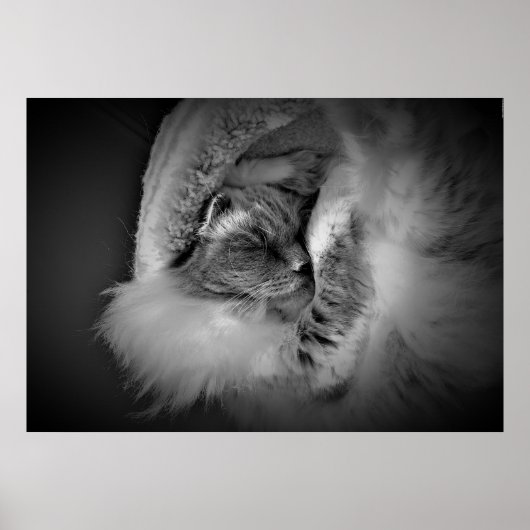 Tage, Poster (Vorne)