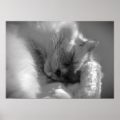 Tage, Poster (Vorne)