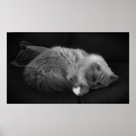 Tage, Poster (Vorne)