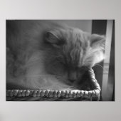 Tage, Poster (Vorne)