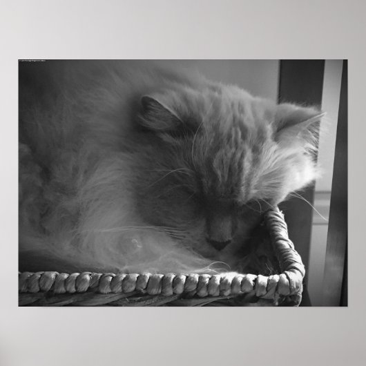 Tage, Poster (Vorne)