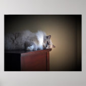 Tage, Poster (Vorne)