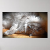 Tage, Poster (Vorne)