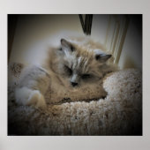 Tage, Poster (Vorne)