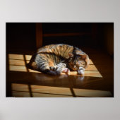 Tage, Poster (Vorne)