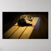 Tage, Poster (Vorne)