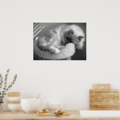 Tage, Poster (Küche)