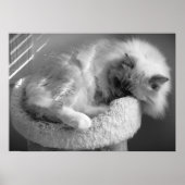 Tage, Poster (Vorne)