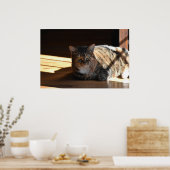 Tage, Poster (Küche)