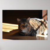 Tage, Poster (Vorne)