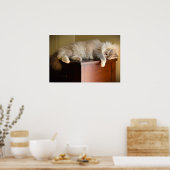 Tage, Poster (Küche)