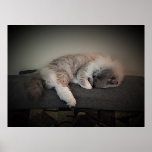 Tage, Poster (Vorne)