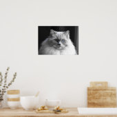 Tage, Poster (Küche)