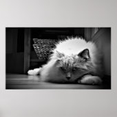 Tage, Poster (Vorne)