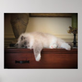 Tage, Poster (Vorne)