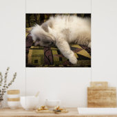 Tage, Poster (Küche)