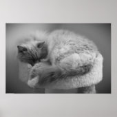 Tage, Poster (Vorne)