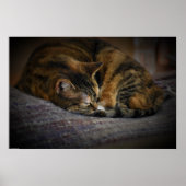 Tage, Poster (Vorne)