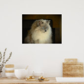 Tage, Poster (Küche)