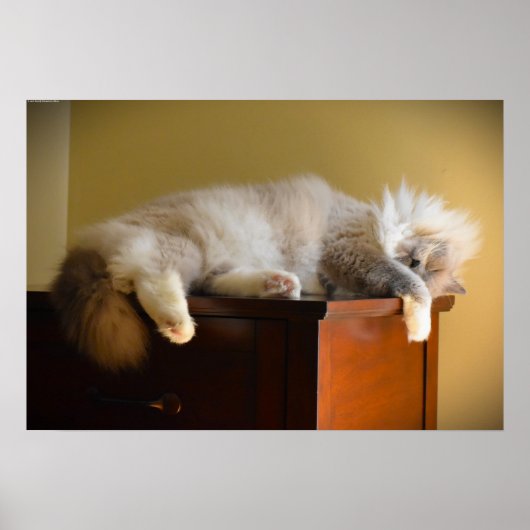 Tage, Poster (Vorne)
