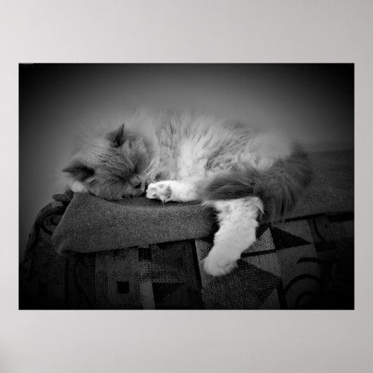 Tage, Poster (Vorne)