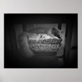 Tage, Poster (Vorne)