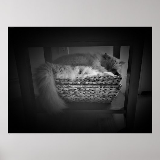 Tage, Poster (Vorne)