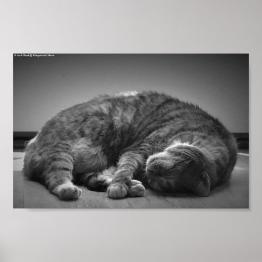 Tage, Poster (Vorne)