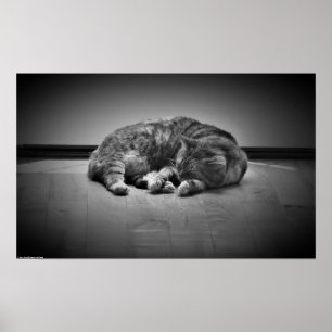 Tage, Poster