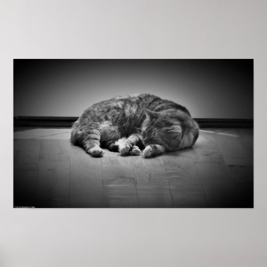 Tage, Poster (Vorne)