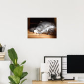 Tage, Poster (Heimbüro)