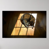 Tage, Poster (Vorne)