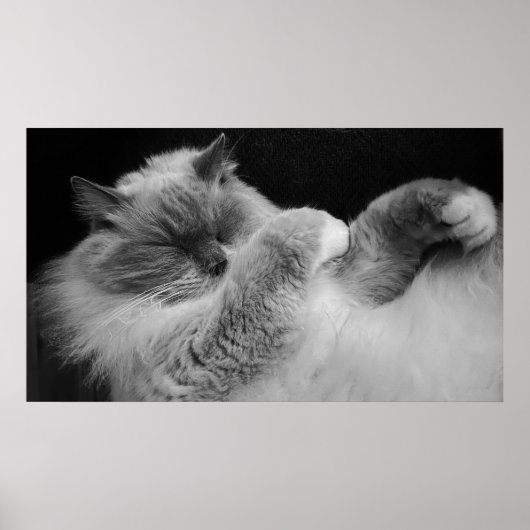 Tage, Poster (Vorne)
