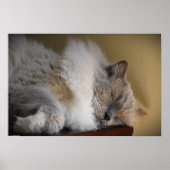 Tage, Poster (Vorne)