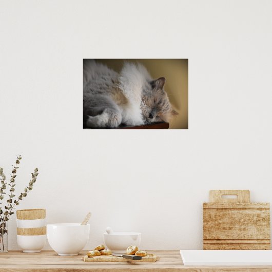 Tage, Poster (Küche)