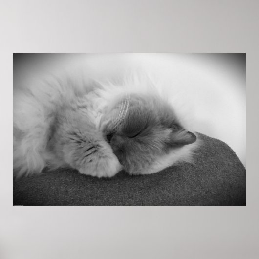 Tage, Poster (Vorne)