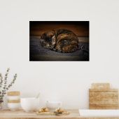 Tage, Poster (Küche)