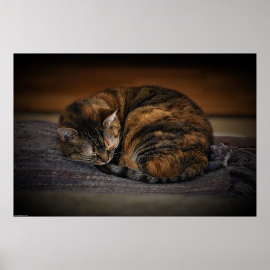 Tage, Poster (Vorne)