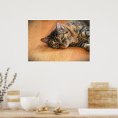 Tage, Poster (Küche)