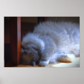 Tage, Poster (Vorne)