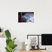 Tage, Poster (Heimbüro)