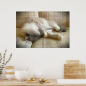 Tage, Poster (Küche)