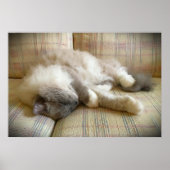 Tage, Poster (Vorne)