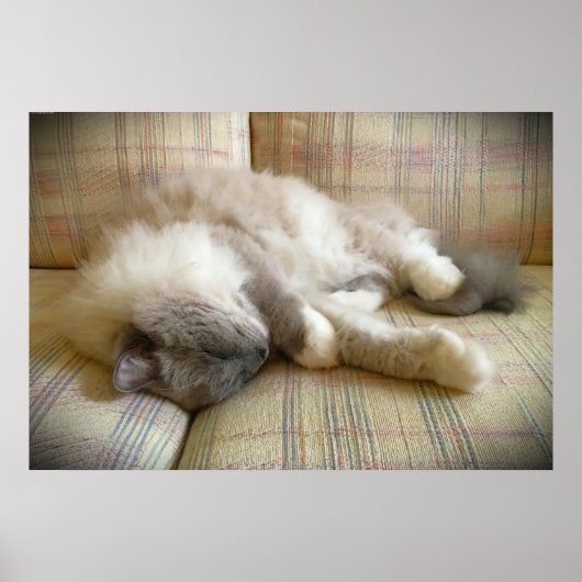 Tage, Poster (Vorne)