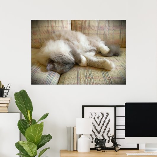 Tage, Poster (Heimbüro)