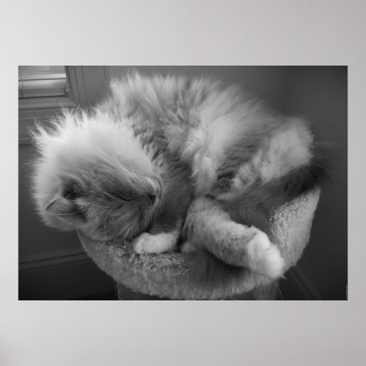 Tage, Poster (Vorne)