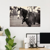 Tage vergangen - Pferdefotografie B & W Print Poster (Heimbüro)